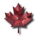 Cndn Red Maple Leaf Defining who we are